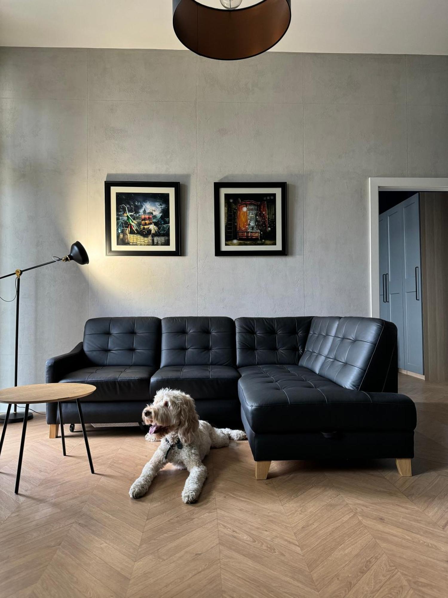 Apartamenty Lemon Pepper イェレニャ・グーラ エクステリア 写真